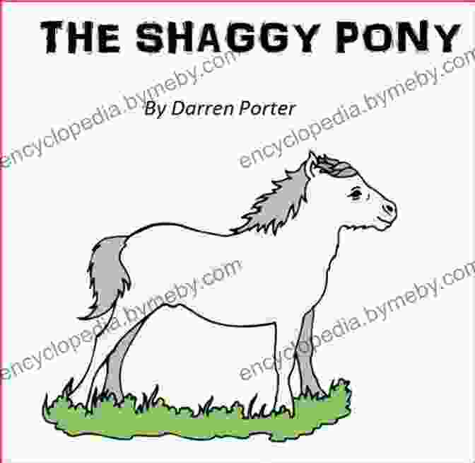 A Beautiful Illustration From The Shaggy Pony Tales Of Shaggy Pony The Shaggy Pony (Tales Of A Shaggy Pony 1)