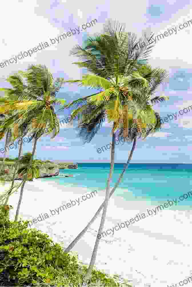 A Breathtaking View Of A Pristine Beach In Barbados With Turquoise Waters And White Sands Roam Around Barbados A R Corbin