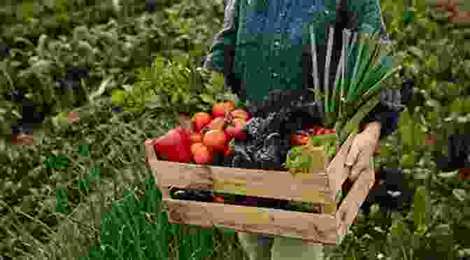 A Close Up Of Vibrant, Freshly Harvested Organic Vegetables Hippie Food: How Back To The Landers Longhairs And Revolutionaries Changed The Way We Eat