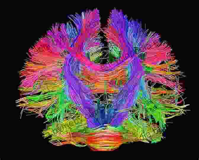 A Complex And Intricate Illustration Of The Human Brain, With Neural Pathways And Connections. The Frontiers Of Knowledge: What We Know About Science History And The Mind