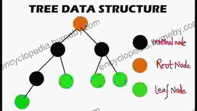 A Diagram Of A Tree Data Structure To Scientific Programming With Python (Simula SpringerBriefs On Computing 6)