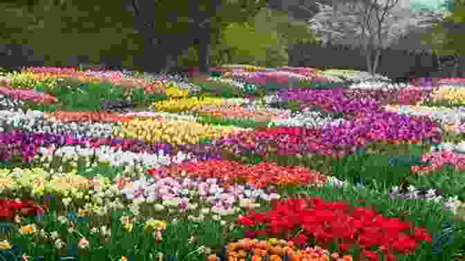 A Diverse Array Of Flowers Blooming In A Garden, Representing The Beauty Of Diversity And Its Value In Nature And Society Rosemary Verey: The Life Lessons Of A Legendary Gardener