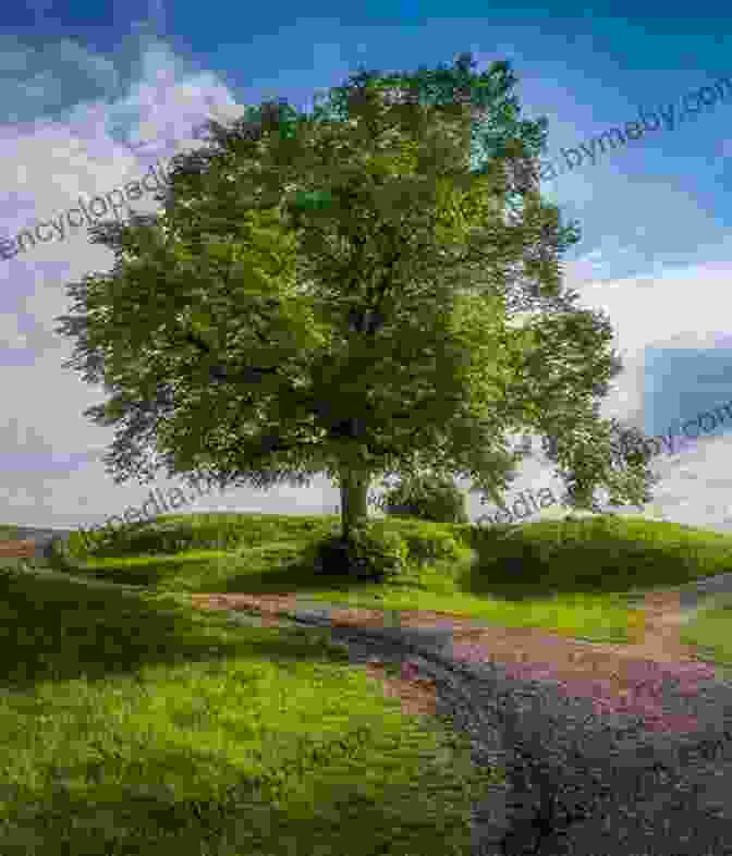 A Large, Majestic Tree. The Tree Lady: The True Story Of How One Tree Loving Woman Changed A City Forever