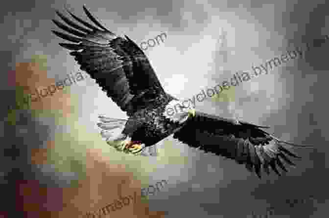 A Majestic Bald Eagle Soaring Through The Sky Effin Birds: A Field Guide To Identification