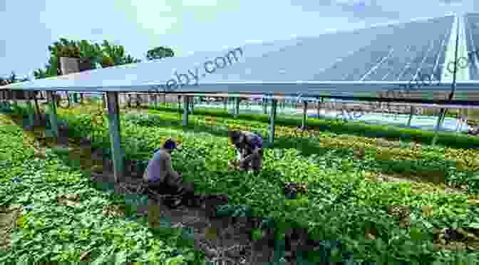 A Modern, Sustainable Farm, With Rows Of Crops And A Solar Energy System Hippie Food: How Back To The Landers Longhairs And Revolutionaries Changed The Way We Eat