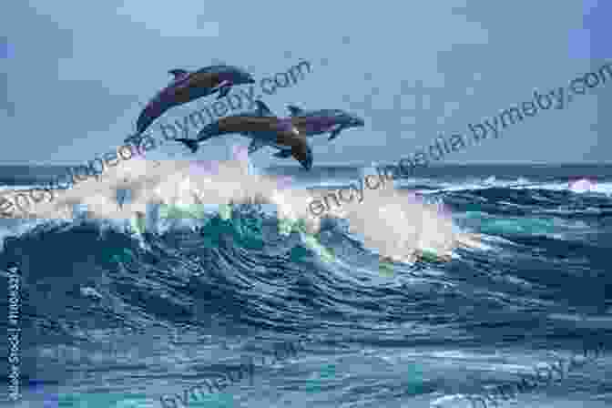 A Playful Dolphin Dancing Through Azure Waves My First 100 Animals And Birds