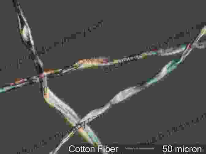 A Variety Of Textile Fibers Under A Microscope Identification Of Textile Fibers (Woodhead Publishing In Textiles)