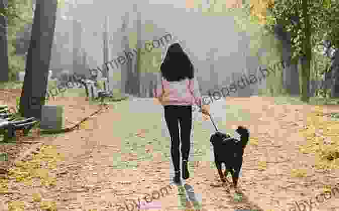 A Woman And Her Dog Walking In The Woods Have Dog Will Travel: A Poet S Journey