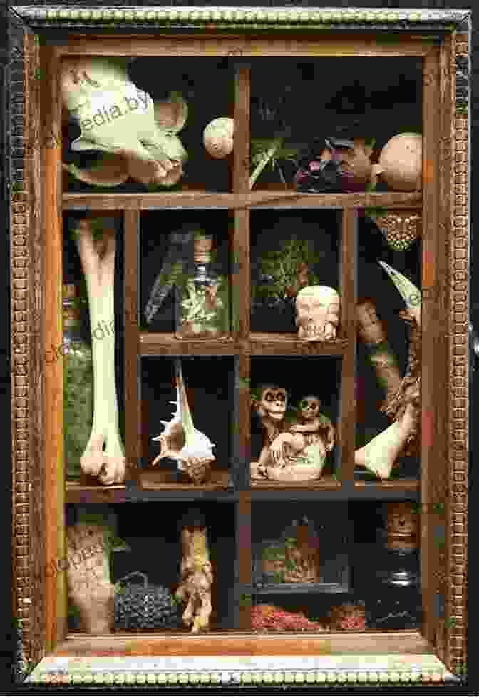 A Wooden Curiosity Cabinet Filled With Various Artifacts, Books, And Specimens Possession: The Curious History Of Private Collectors From Antiquity To The Present