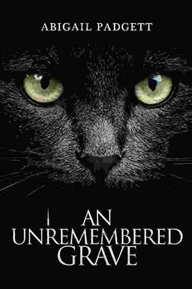 An Unremembered Grave Book Cover An Unremembered Grave Abigail Padgett