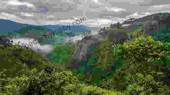 Breathtaking Landscape Of Eritrea, Featuring Rolling Hills And Vibrant Greenery Country Jumper In Eritrea Claudia Dobson Largie