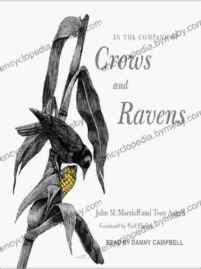 Cover Of In The Company Of Crows And Ravens In The Company Of Crows And Ravens