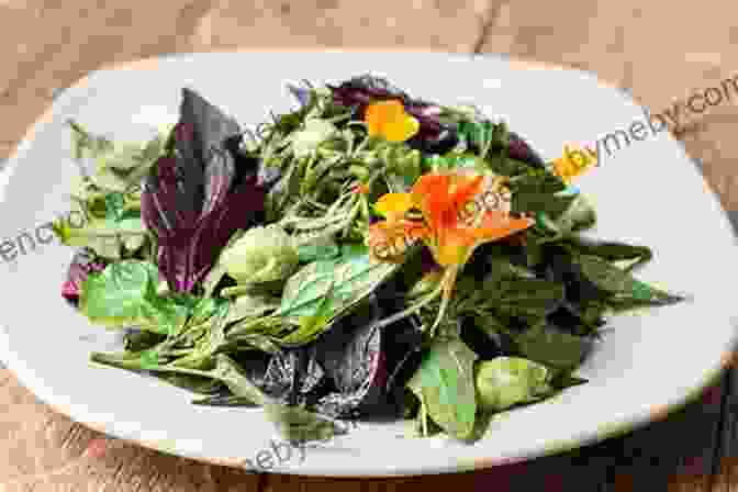 Delicious Wild Plant Salad The Forager S Harvest: A Guide To Identifying Harvesting And Preparing Edible Wild Plants