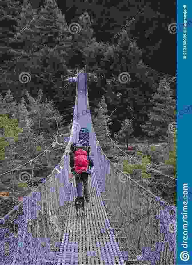 Hikers Crossing A Suspension Bridge Hiking The West Coast Of Vancouver Island: An Updated And Comprehensive Trail Guide