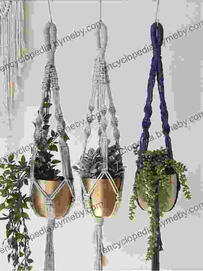 Image Of A Decorative Net Being Used As A Plant Hanger Net Making Made Simple A Guide To Making Nets For Sport And Home