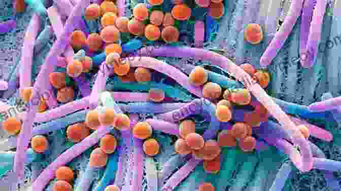 Microscopic Image Of The Diverse Microbial Communities Residing In The Avian Gut Avian Gut Function In Health And Disease (Poultry Science Symposium Series)