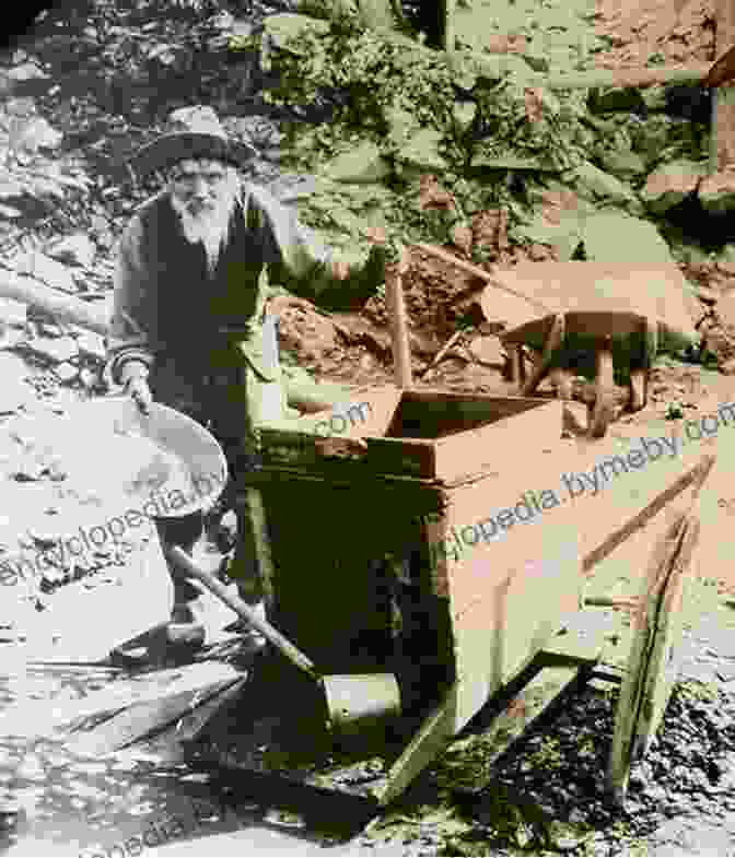 Photograph Of Gold Miners Panning For Gold On The Yukon River During The Klondike Gold Rush The Yukon River (Rivers In World History)