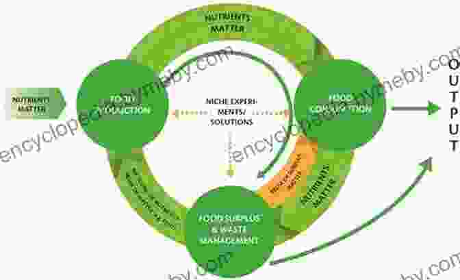 Promoting Circularity In Food Systems The Circular Economy: Case Studies About The Transition From The Linear Economy (copublishing Agreement)