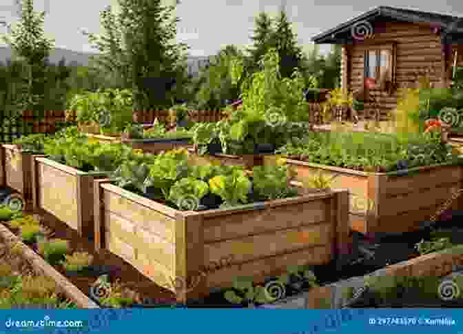 Raised Bed Filled With Flourishing Vegetables Raised Bed Gardening For Beginners: The Ultimate Guide To Successfully Building A Healthy And Productive Garden And Growing Your Own Organic Vegetables Herbs And Fruits