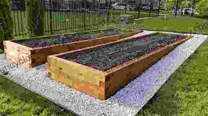 Raised Beds Covered In Mulch Raised Bed Gardening For Beginners: The Ultimate Guide To Successfully Building A Healthy And Productive Garden And Growing Your Own Organic Vegetables Herbs And Fruits