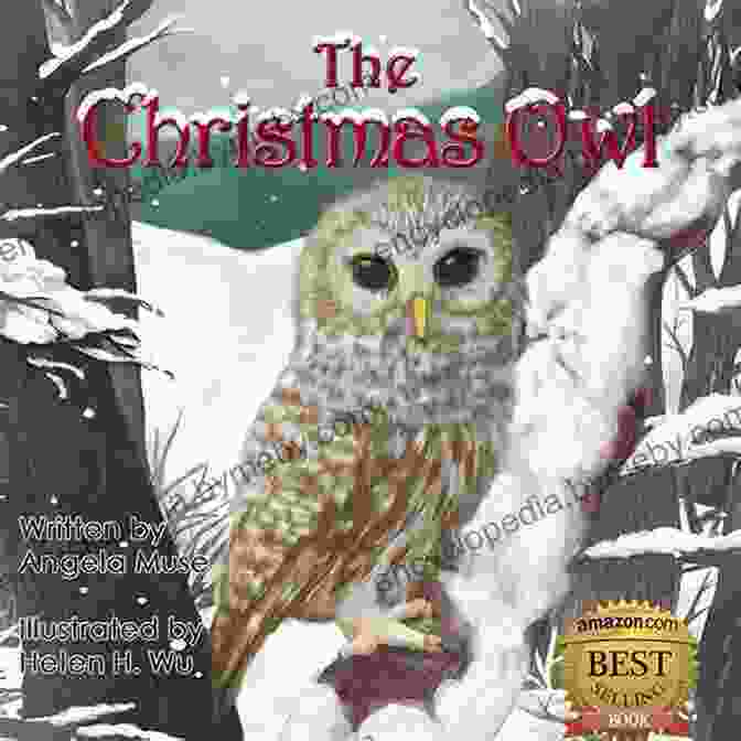 The Christmas Owl By Angela Muse The Christmas Owl Angela Muse