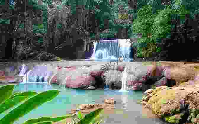 The YS Falls, A Hidden Gem In The Jamaican Rainforest Sightsee Jamaica: A Brief Guide To Jamaica S Best Spots