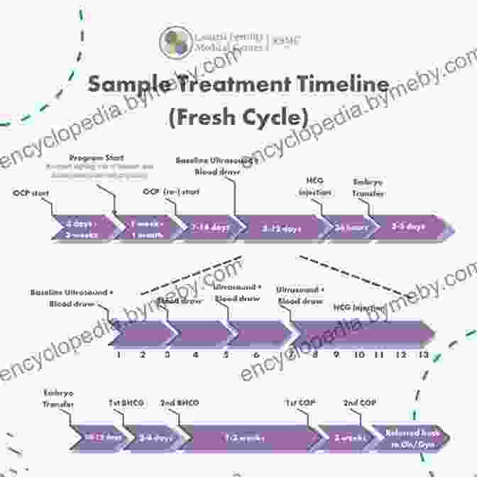 Timeline Of The IVF Cycle Having Your Baby Through Egg Donation: Second Edition