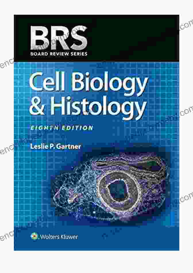 Volume 2: Histology BRS Cell Biology And Histology (Board Review Series)