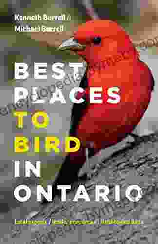 Best Places To Bird In Ontario