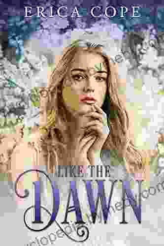 Like The Dawn (Lark #3) Erica Cope