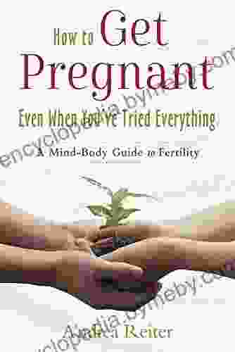 How To Get Pregnant Even When You Ve Tried Everything: A Mind Body Guide To Fertility