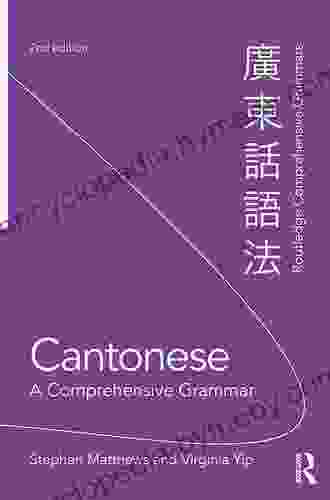 Norwegian: A Comprehensive Grammar (Routledge Comprehensive Grammars)