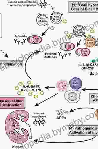 Medicinal Spices And Vegetables From Africa: Therapeutic Potential Against Metabolic Inflammatory Infectious And Systemic Diseases